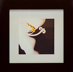 link to Amaryllis a digital photograph on transparency by Kelly Irving