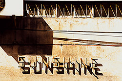 link to Sunshine, a digital photograph by Kelly Irving, Pender Island
